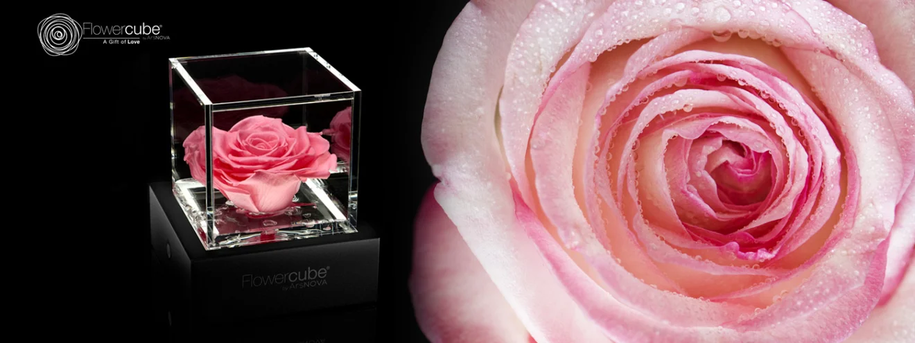 FlowerCube Banner