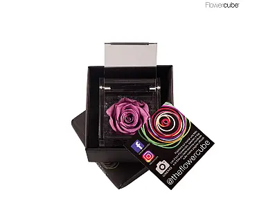FlowerCube Rosa stabilizzata Lilla