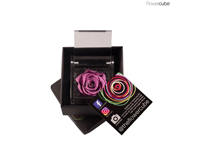 FlowerCube Rosa stabilizzata Lilla
