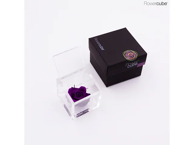 FlowerCube Rosa stabilizzata Viola