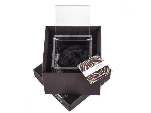 FlowerCube Rosa stabilizzata Nera