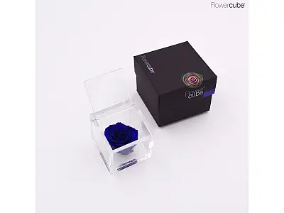 FlowerCube Rosa stabilizzata Blu
