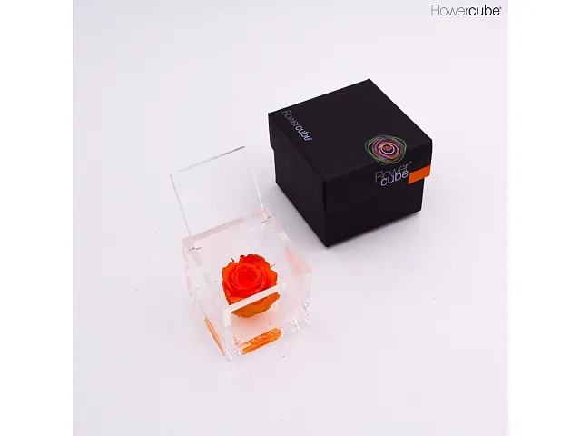 FlowerCube Rosa stabilizzata Arancio