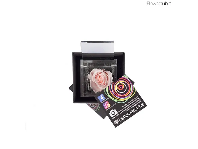 FlowerCube Rosa stabilizzata Rosa pastello
