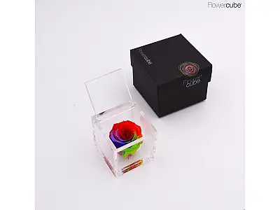 FlowerCube Rosa stabilizzata Rainbow