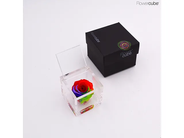 FlowerCube Rosa stabilizzata Rainbow
