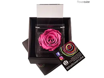 FlowerCube Rosa stabilizzata Mirtillo - Media