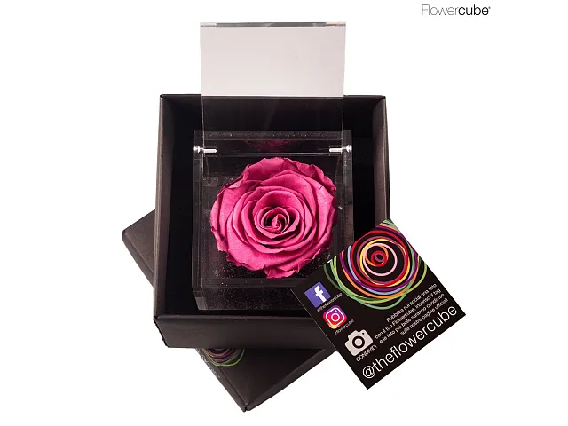 FlowerCube Rosa stabilizzata Mirtillo - Media
