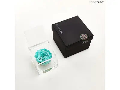 FlowerCube Rosa stabilizzata Turchese - Media