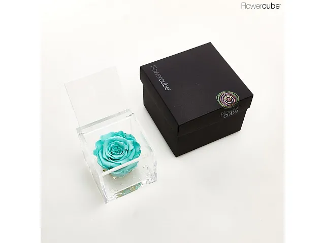 FlowerCube Rosa stabilizzata Turchese - Media