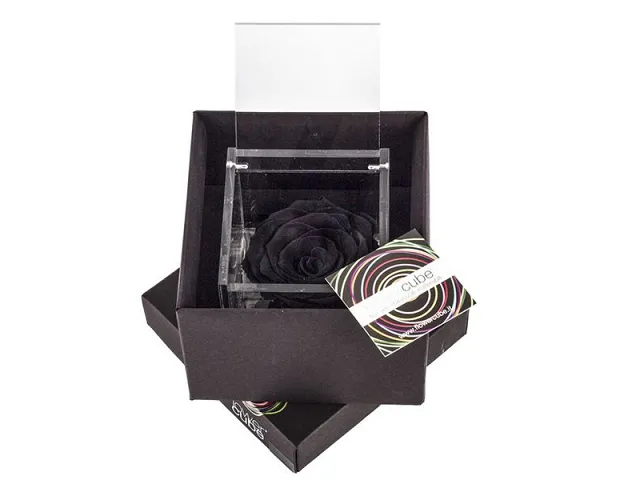 FlowerCube Rosa stabilizzata Nera - Media