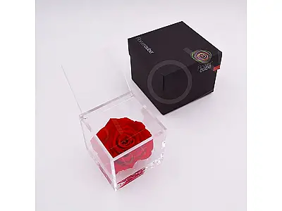 FlowerCube Rosa stabilizzata Rossa - Grande
