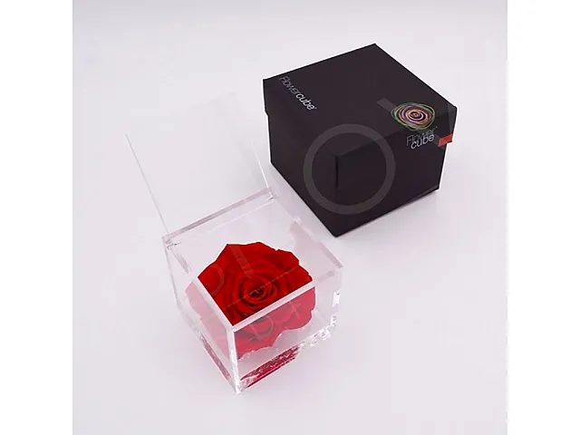 FlowerCube Rosa stabilizzata Rossa - Grande