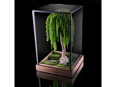 FlowerCube Teca in vetro bonsai amarantus