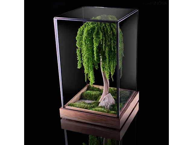 FlowerCube Teca in vetro bonsai amarantus