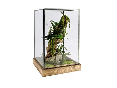 FlowerCube Teca in vetro e legno Lian Green