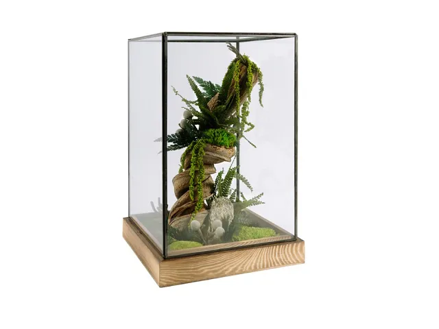 FlowerCube Teca in vetro e legno Lian Green