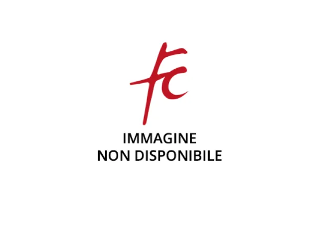 Alessi Spremiagrumi elettrico nero